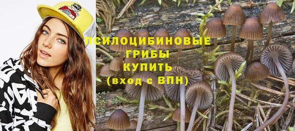 МДПВ Яранск