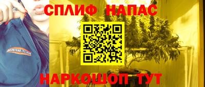 гашик Заводоуковск