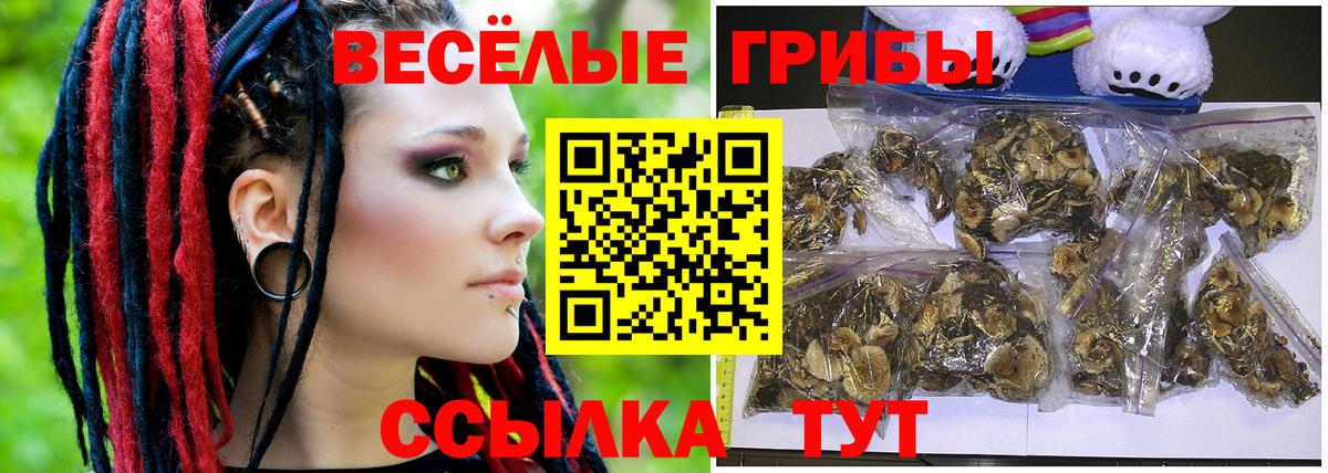 Галлюциногенные грибы прущие грибы  Вход с VPN  Новочеркасск 